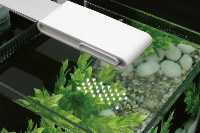 Akvarium med LED-belysning, växter och stenar