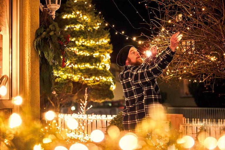 Trädgårdskalender: December