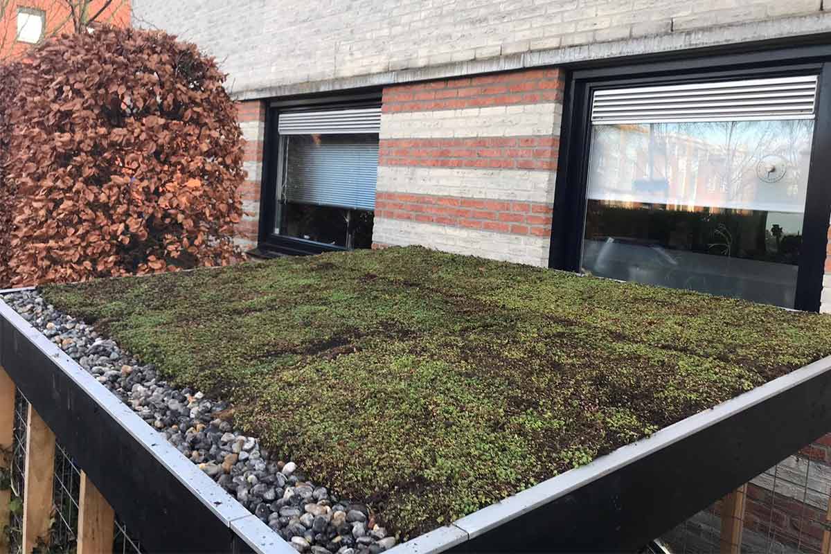 Utsikt över ett extensivt grönt tak på en byggnad
