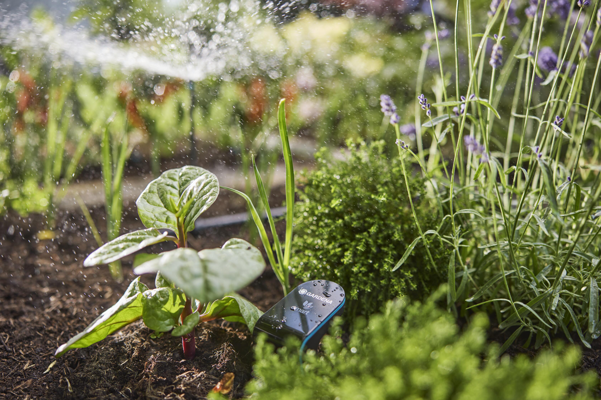 Gardena smart sensor i en trädgårdsrabatt med vattnade växter och vattendimma.