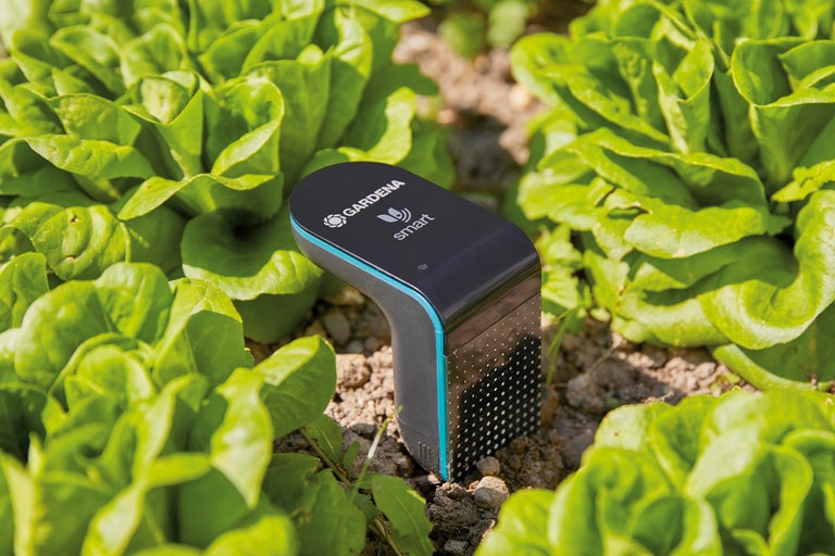 Gardena Smart Sensor för trädgårdsbevattning mellan salladsplantor