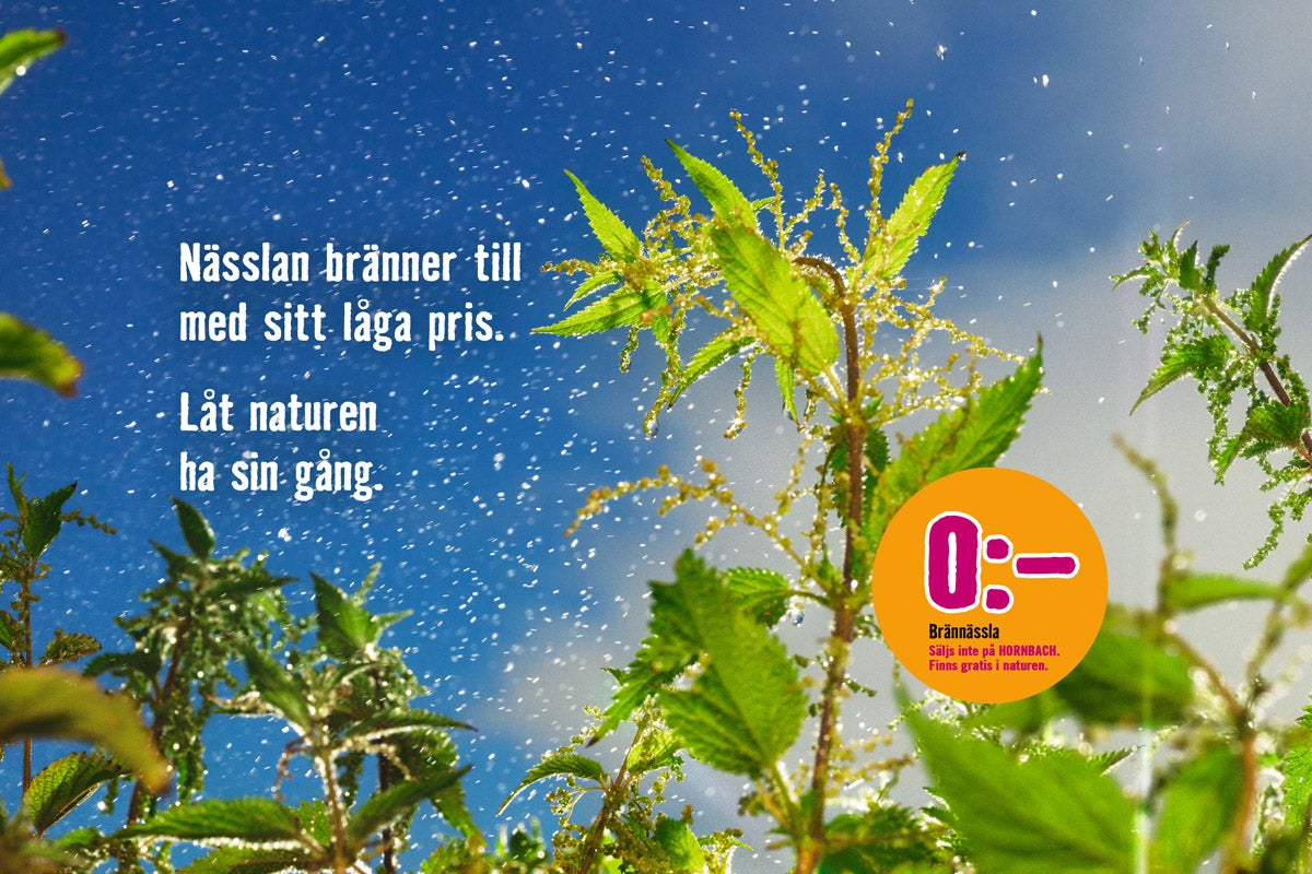 Brännässla i naturlig miljö