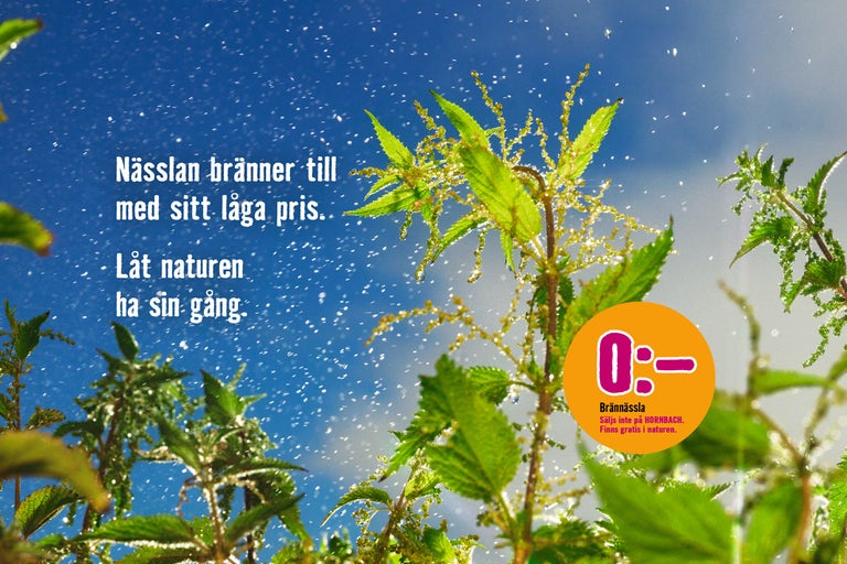 Brännässla i naturlig miljö