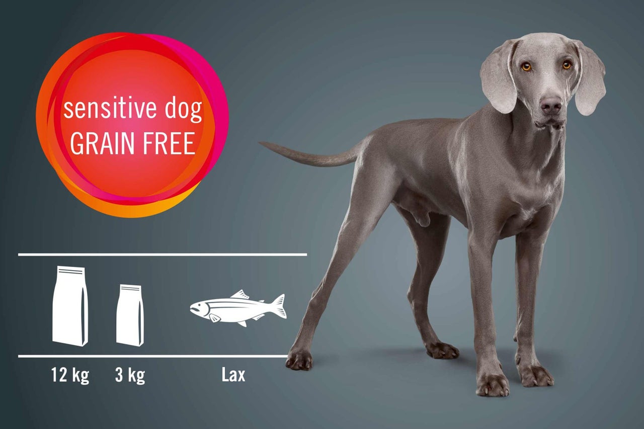 Illustration av sensitive dog Grain Free hundfoder med fisk och 12 kg och 3 kg förpackningar