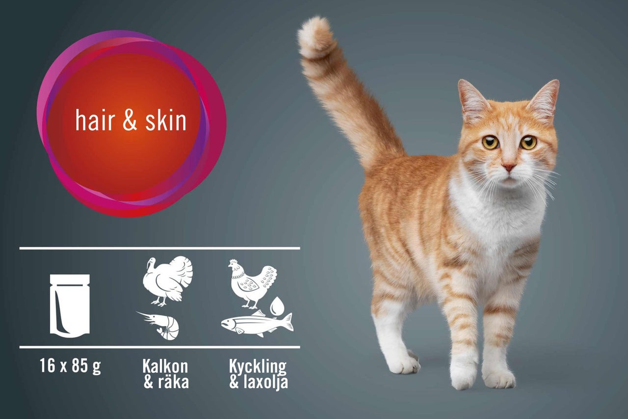 Kattmat för päls och hud med kalkon, räkor, kyckling och laxolja