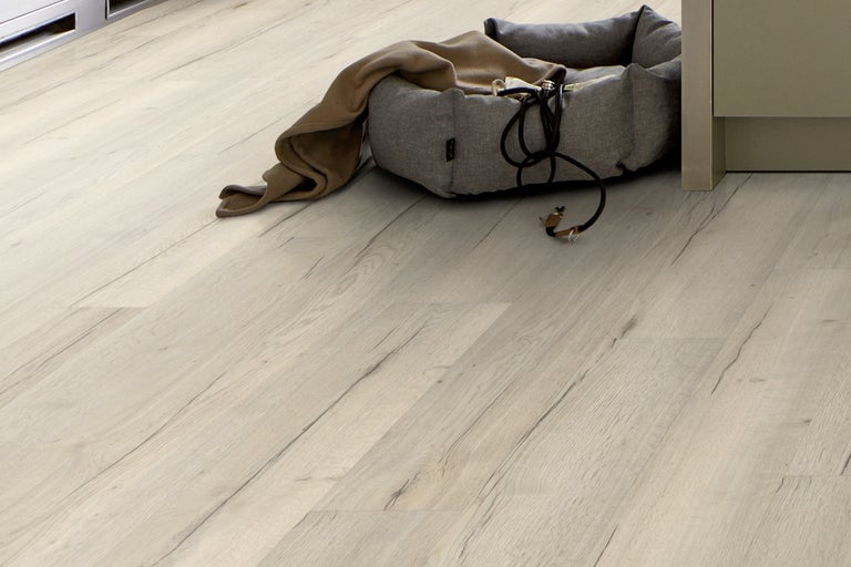 Ljust laminatgolv med träutseende och hundsäng