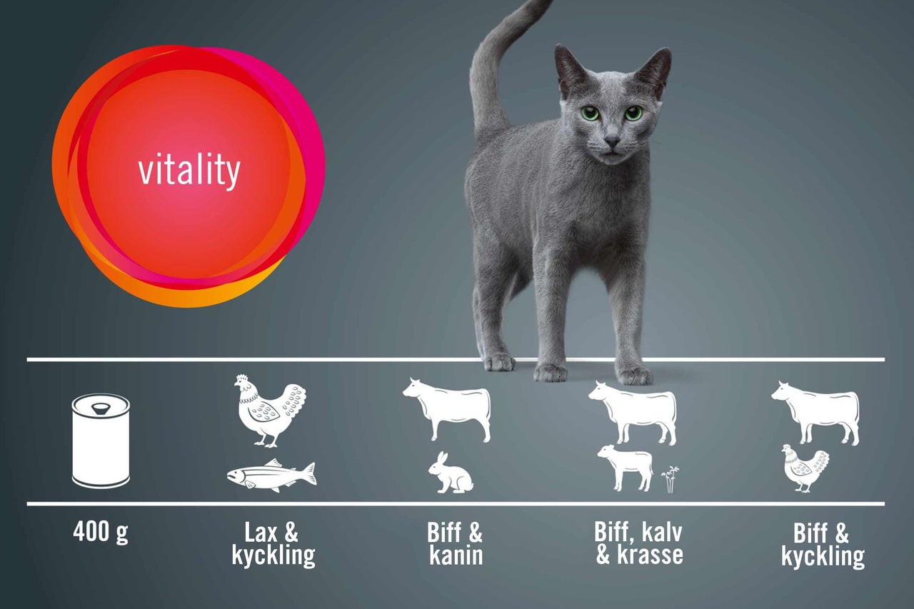 Kattmat med olika köttsorter för vitalitet
