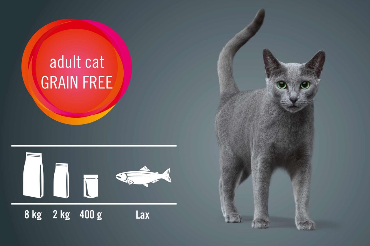 Kattmat för vuxna katter, spannmålsfritt med lax