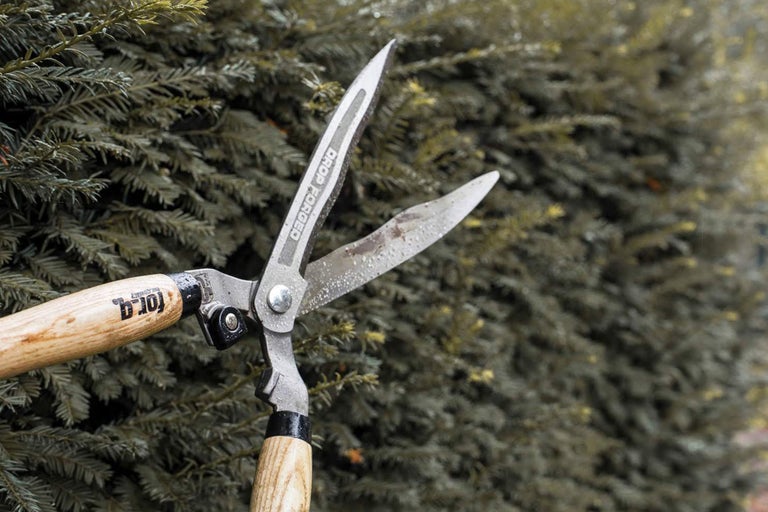 Häcksax framför en häck