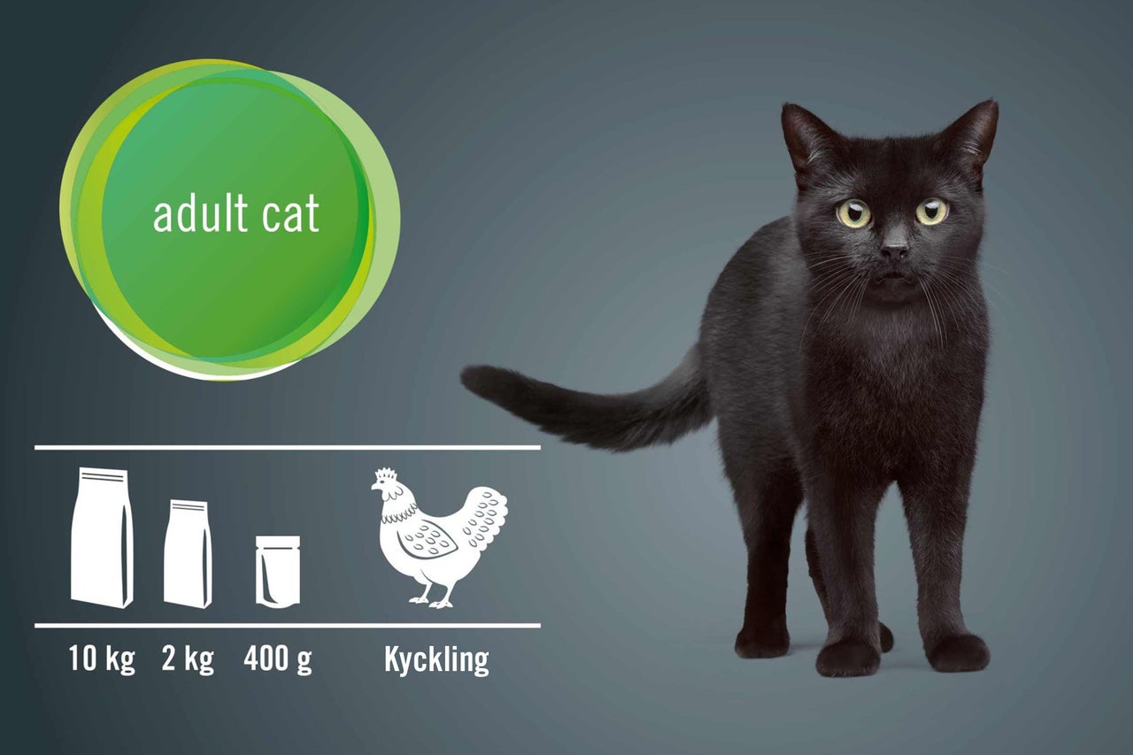 Kattmat för vuxna katter med kyckling