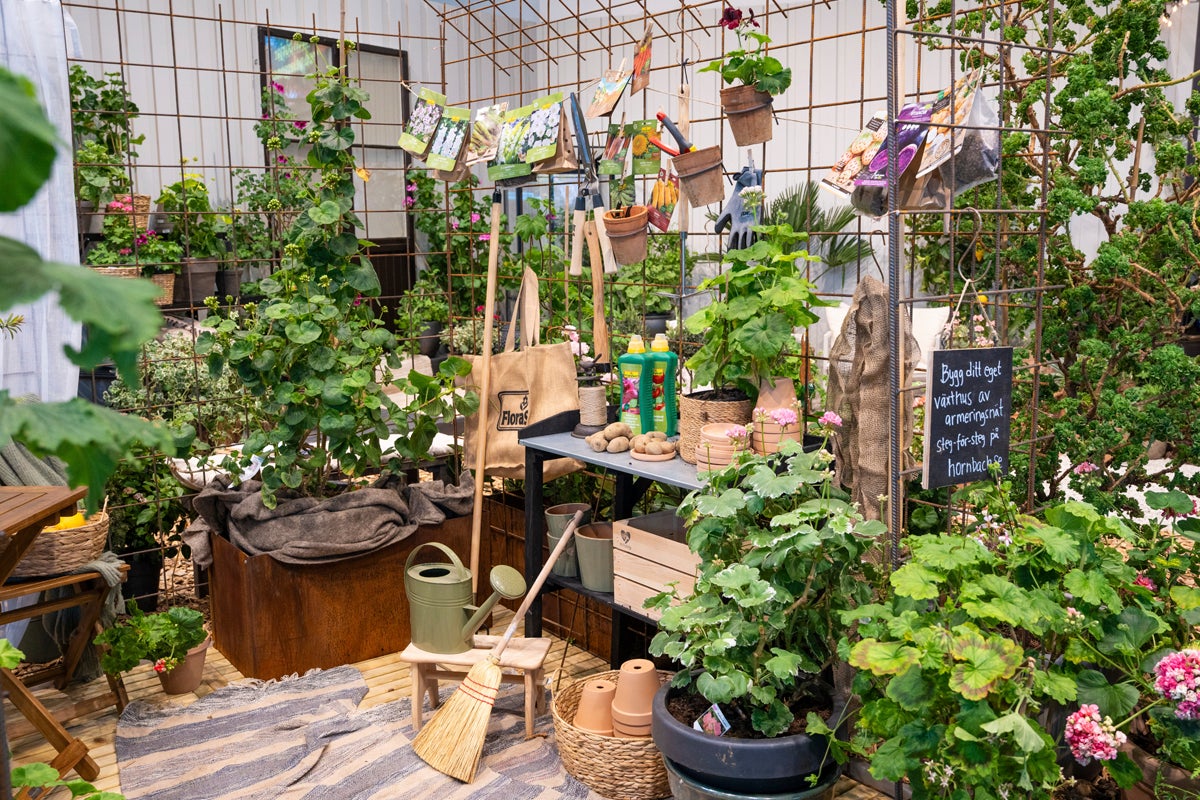 Ljus trädgårdshörna med växter i krukor, armeringsnät som spaljé, trädgårdsredskap, fröpåsar och väska med Flora Logo.