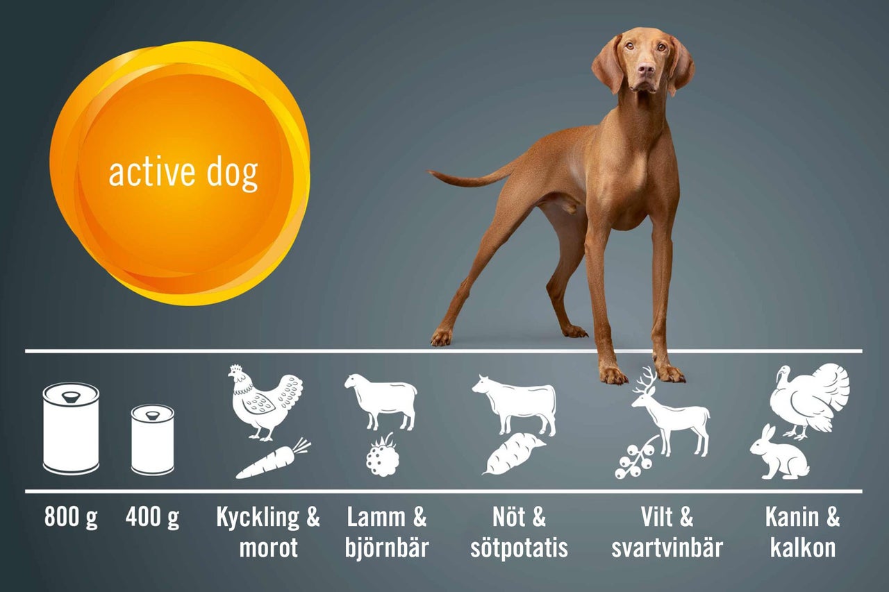 Bild av hundfoder för aktiva hundar med kyckling, lamm, nöt, vilt, kanin, morötter, björnbär, sötpotatis och svarta vinbär