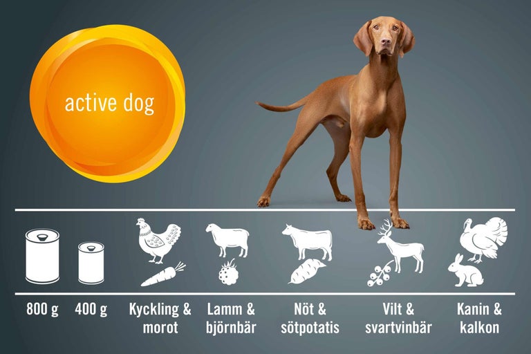 Bild av hundfoder för aktiva hundar med kyckling, lamm, nöt, vilt, kanin, morötter, björnbär, sötpotatis och svarta vinbär