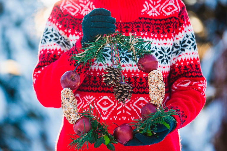 Person med vintertröja håller en matkrans för fåglar med äpplen och kottar