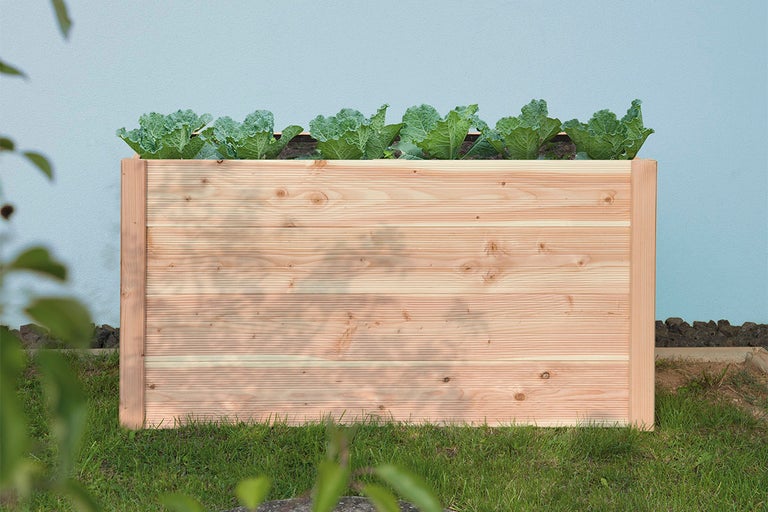 Trädgårdshögbädd i trä med salladsplantor