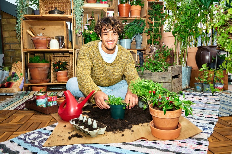 Så odlar du inomhus