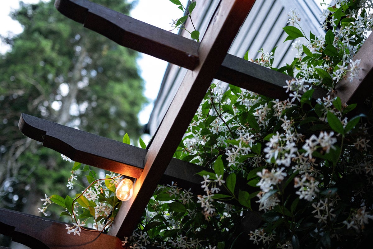 Träpergola med blommande klätterväxter och glödlampa