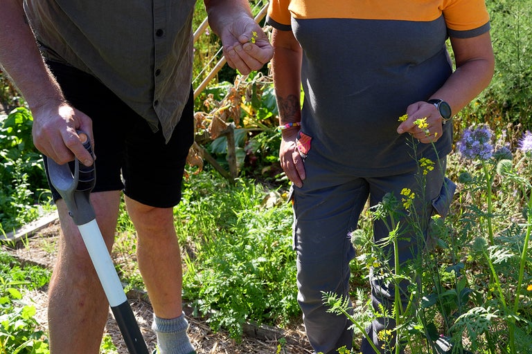 Två personer i trädgården med en spade och växter.