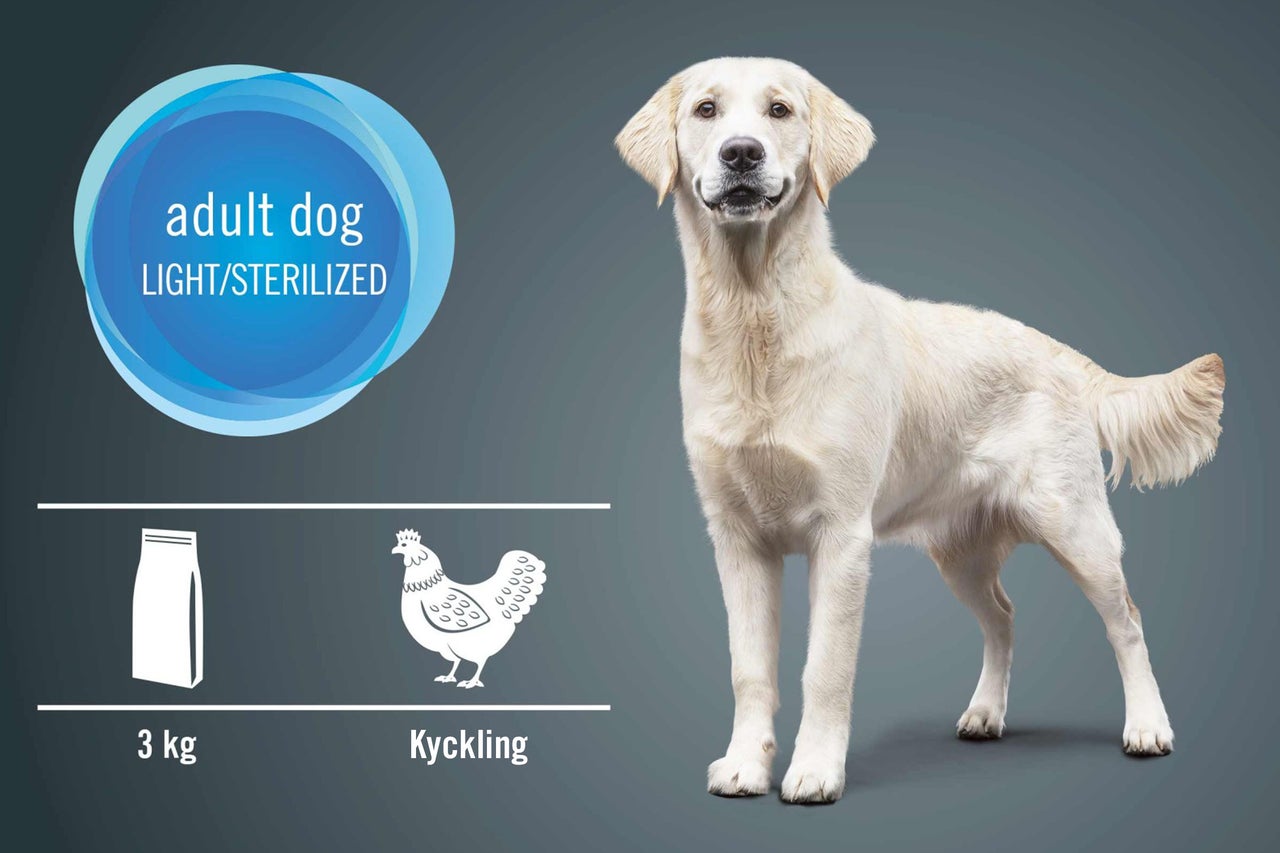 Ljus hund framför grafik med foderinformation för vuxna, steriliserade hundar