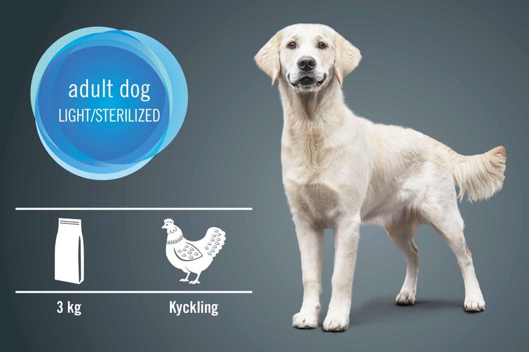 Ljus hund framför grafik med foderinformation för vuxna, steriliserade hundar