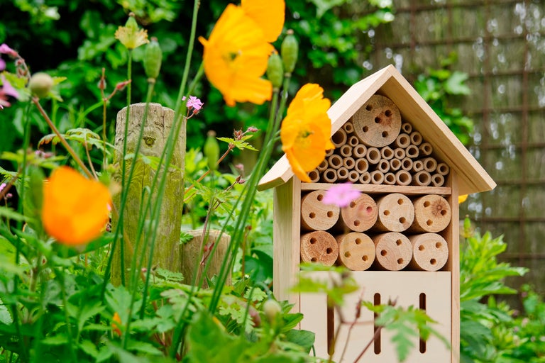 Insekthotell av trä i trädgården med blommor