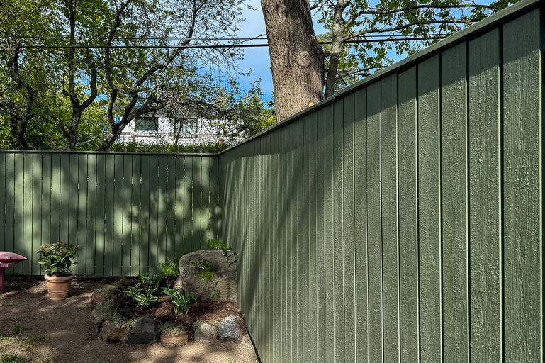 Trädgård med trästaket och plantering