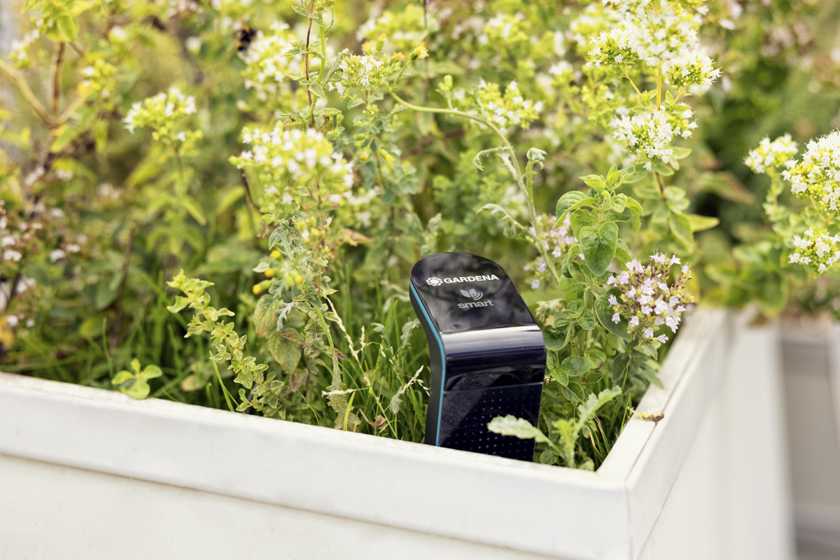 Gardena smart sensor för mätning av markfuktighet i en upphöjd odlingsbädd med örter och blommande växter.
