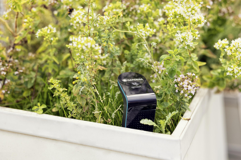 Gardena smart sensor för mätning av markfuktighet i en upphöjd odlingsbädd med örter och blommande växter.