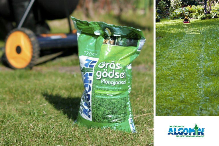 En säck gräsmattegödsel står på en gräsmatta, med en gräsklippare och en klippt gräsmatta i bakgrunden