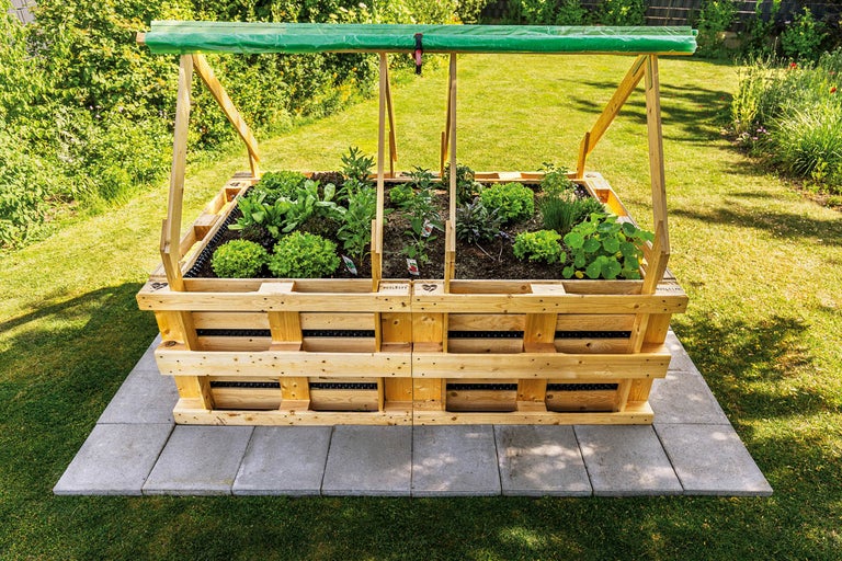 Hög träbädd med olika grönsaker och drivbänk i trädgården