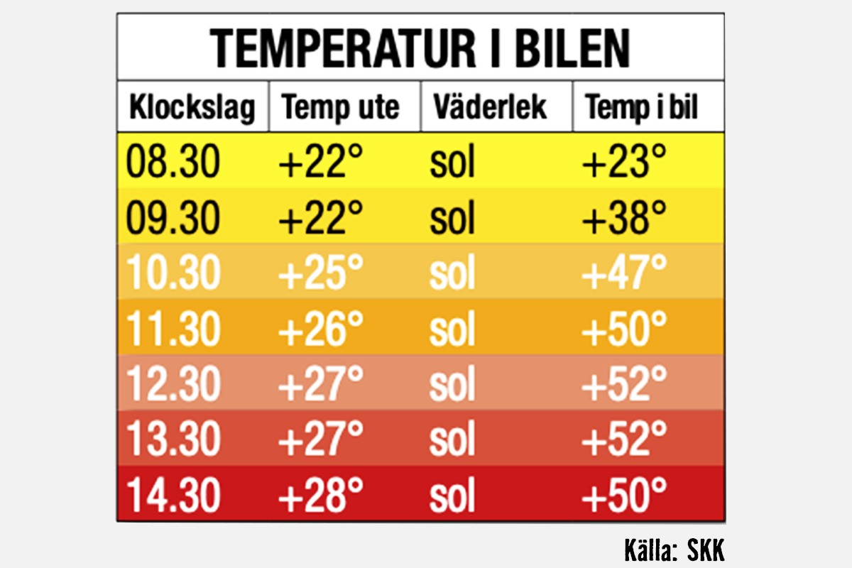 Tabell över temperatur i bilen i solsken