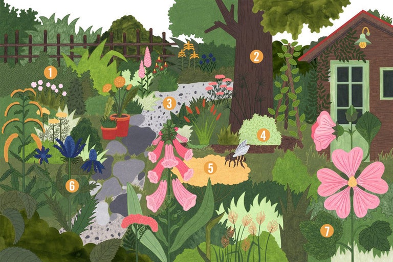 Illustrerad trädgård med blommor, träd och trädgårdsskjul