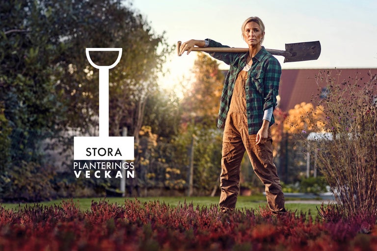 HORNBACH deltar i Stora planteringsveckan 2025