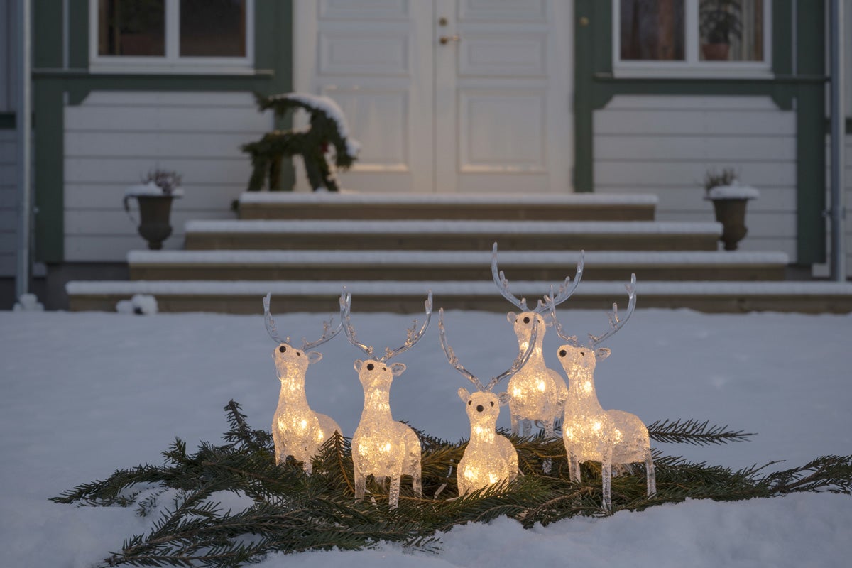 Dekorativ lysande renhjord på grangrenar i snön framför ett hus.