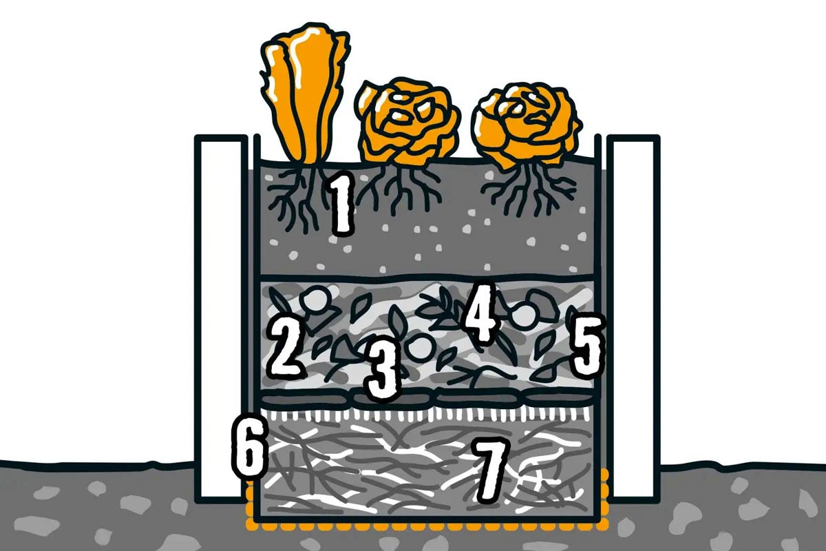 Illustration av en upphöjd rabatt med olika lager och växter.