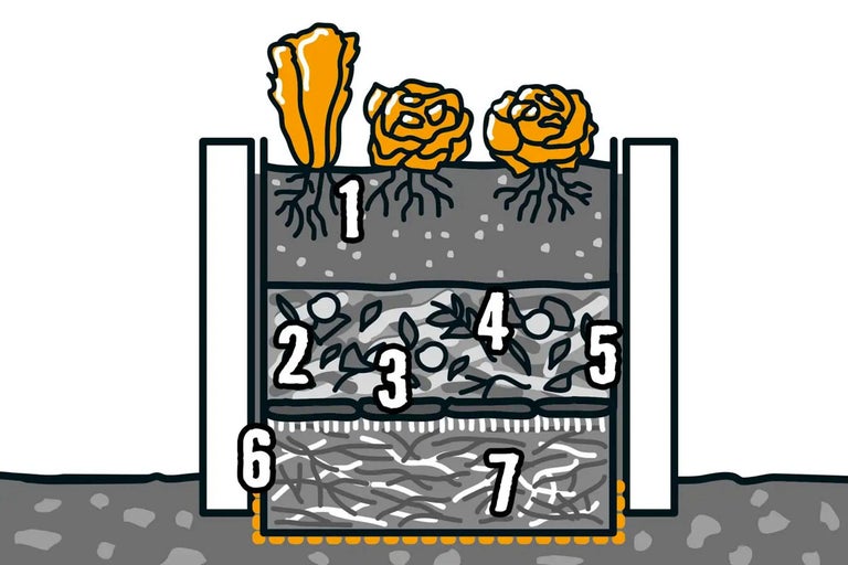Illustration av en upphöjd rabatt med olika lager och växter.