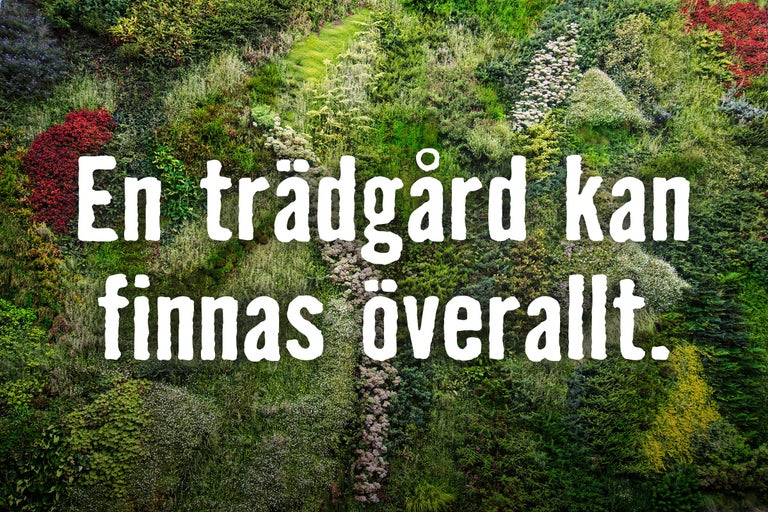 Vertikal trädgård med olika växter och texten En trädgård kan finnas överallt