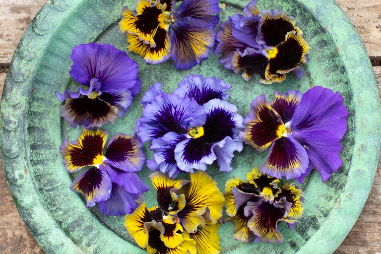 Flerfärgade penséer på ett fat