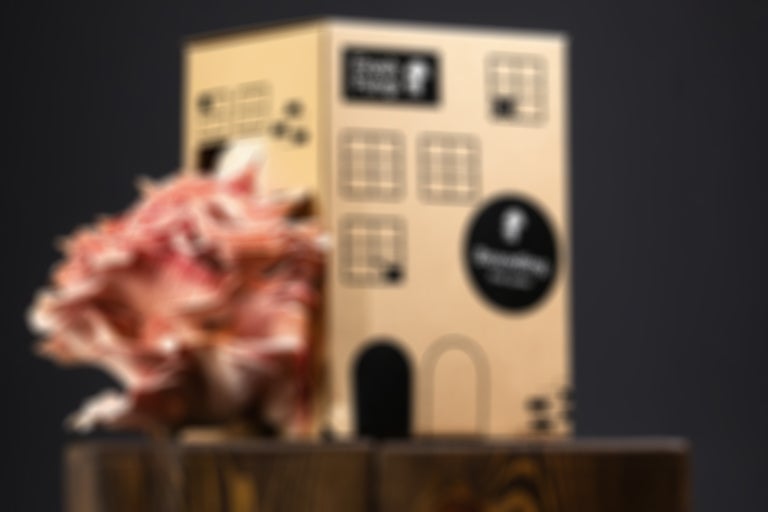 Förpackning med odlingskit för ostronmussling