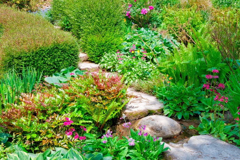 Trädgårdslandskap med stengång och olika växter