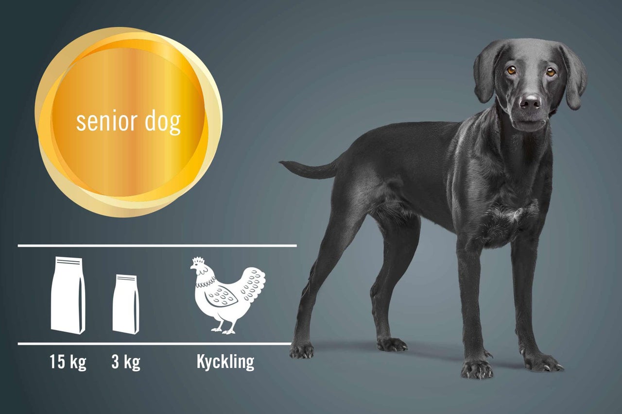 Illustration av hundfoder för äldre hundar med kycklingsmak i förpackningar om 15 kilogram och 3 kilogram