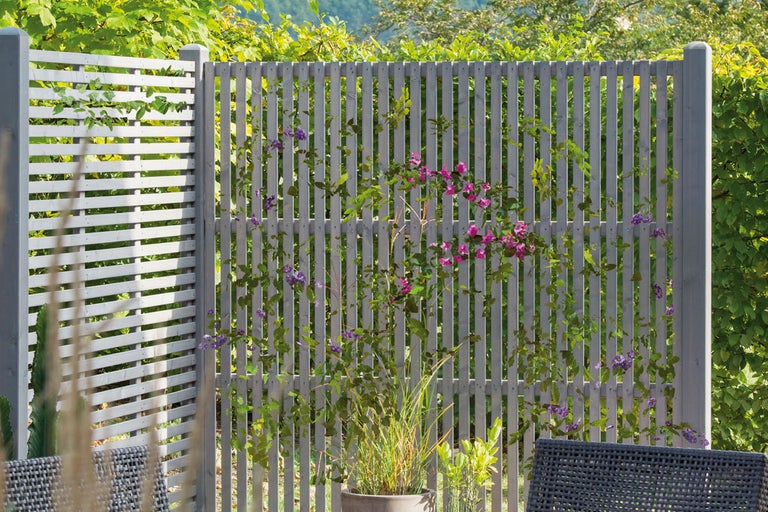 Grå trästaketselement med klätterväxter i trädgården