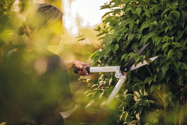 Kvinna klipper häck med en häcksax av märket Fiskars