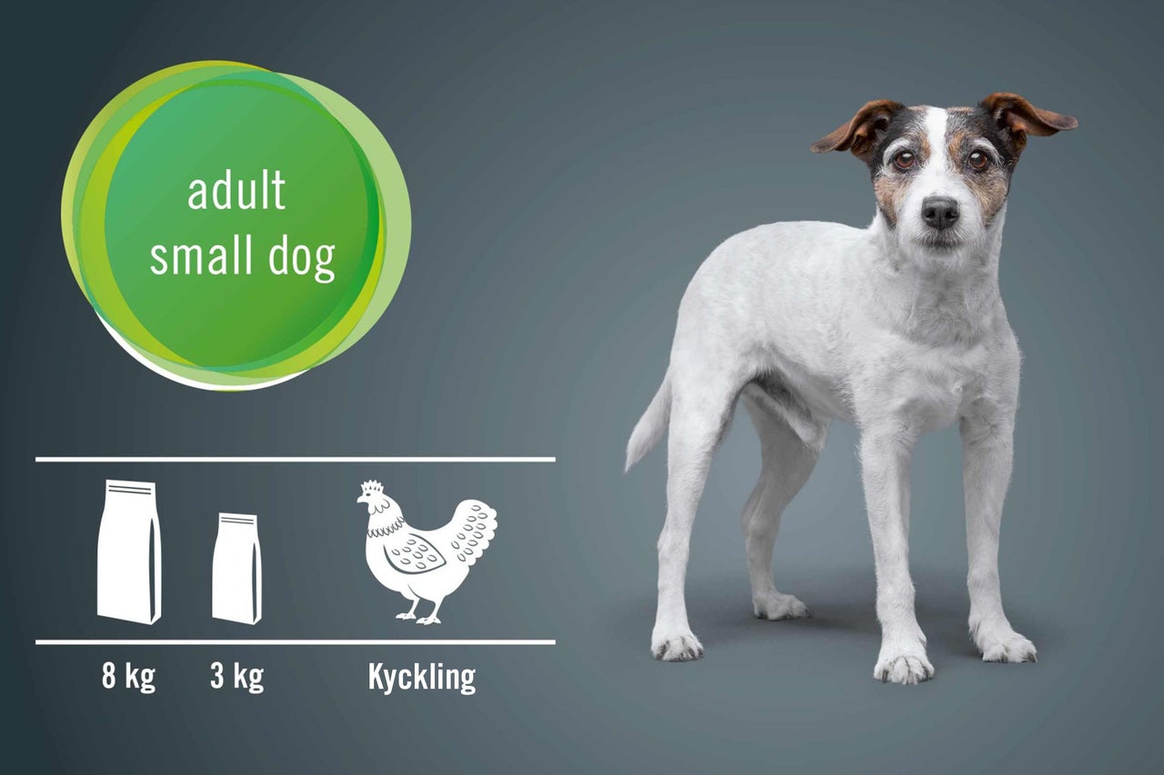 Illustration av hundmat för små vuxna hundar med kycklingsmak i förpackningar om 3 kg och 8 kg