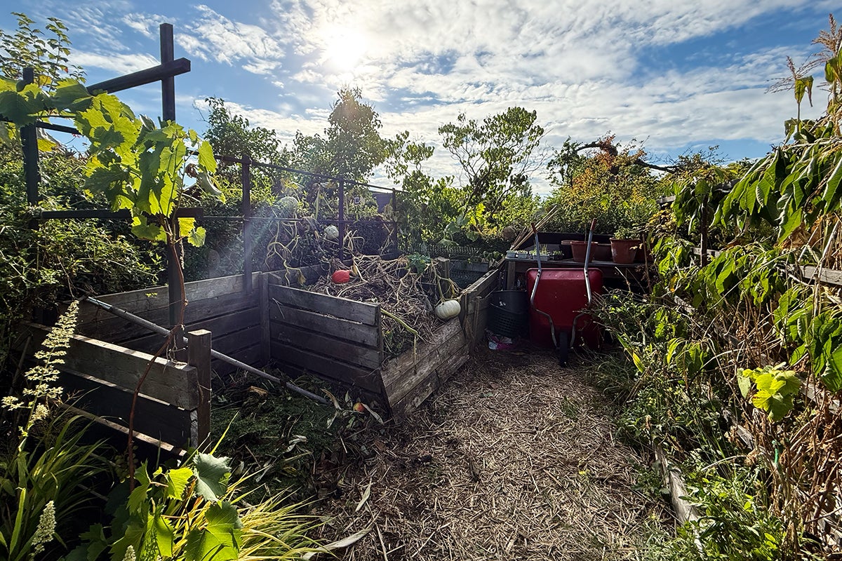 Trädgårdskompostbehållare med trädgårdsredskap och växter