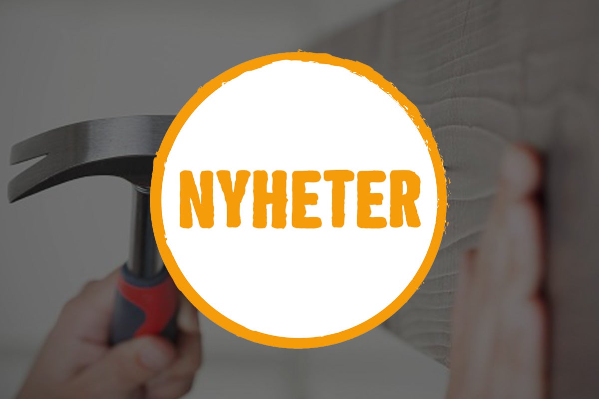Nyheter: Hammare slår spik i träbräda.
