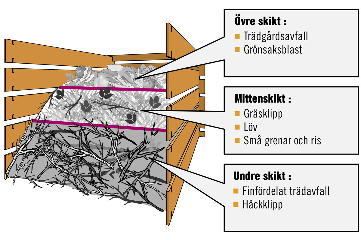 Infografik som visar uppbyggnaden av en kompost med tre lager av trädgårdsavfall såsom grenar, löv, gräsklipp och växtrester.