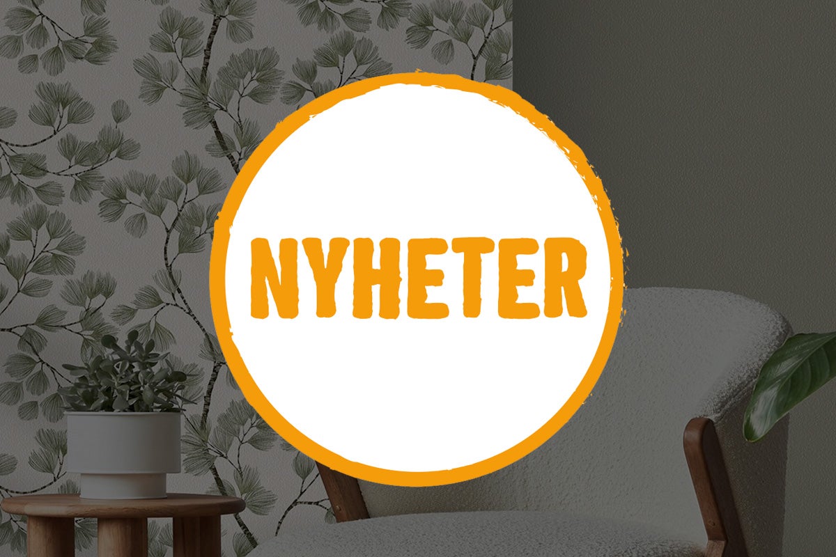 Rumsvy med fåtölj, växt och tapet; textfält: Nyheter