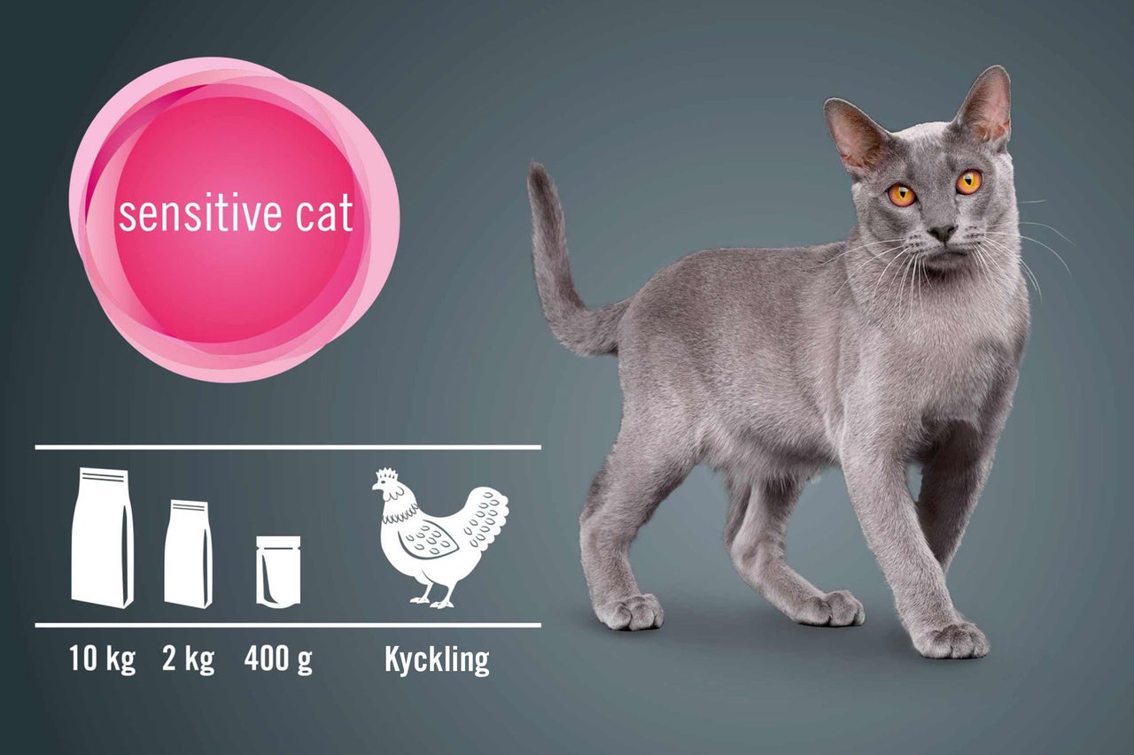 Kattmat för känsliga katter, olika förpackningsstorlekar och kyckling