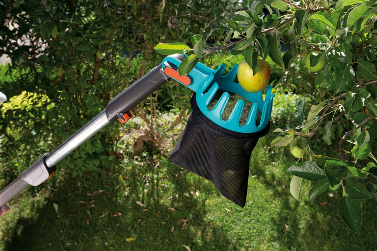 Fruktplockare med ett äpple i fångstnätet.